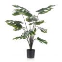Gerviplanta Monstera Emerald 80cm