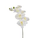Gerviplanta orkídea Emerald 80cm hvít