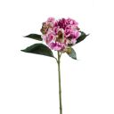 Gerviplanta hortensia Emerald 53cm fjólublá