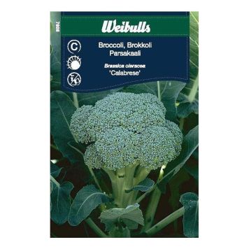Brokkoli fræ Weibulls Brassica oleracea