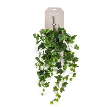 Gerviplanta hengi Efeu Emerald 70cm græn