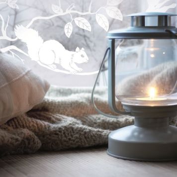 Filma static p pineview, 45cmx1.5m gegnsæ