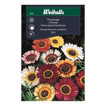 Prestafífill blönduð fræ Weibulls Chrysanthemum carinatum