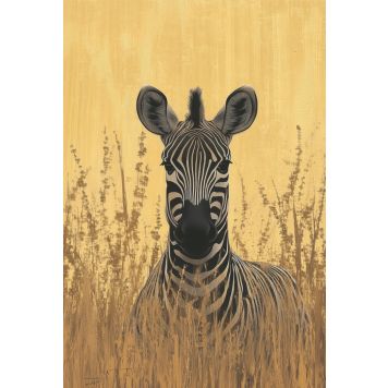 Hljóðvistarmynd sebrahestur 1220x1800x20 mm InEx