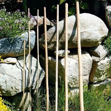 Bambusprik 150cm Ø12/14mm Bellissa
