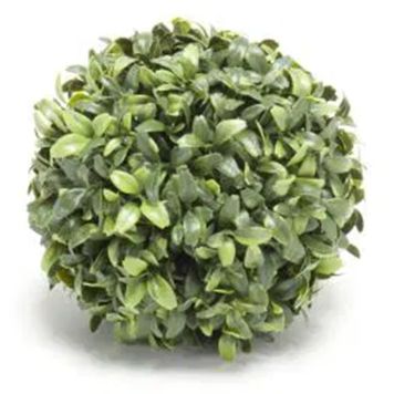 Gerviplanta buxus kúla 15cm Emerald