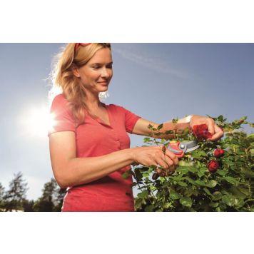 Greinaklippur 22mm Wolff Garten Premium Plus RR4000