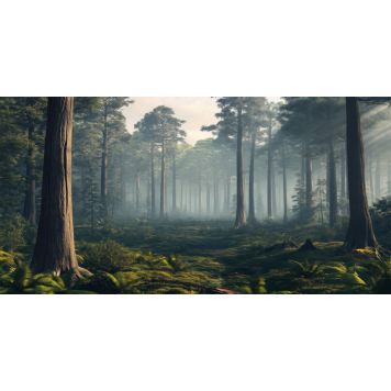 Hljóðvistarmynd landslag skógur 2420x1220x20 mm InEx