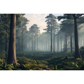 Hljóðvistarmynd landslag skógur 3600x2420x20 mm InEx