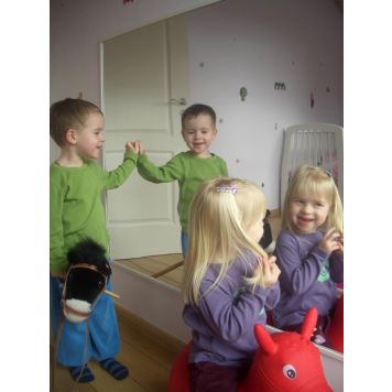 Plastplata spegill 1000x750x3 mm Rias