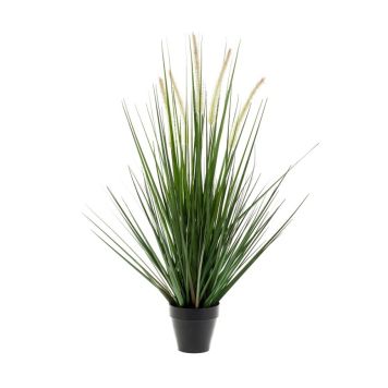 Gerviplanta gras Alopecurus Emerald 69cm