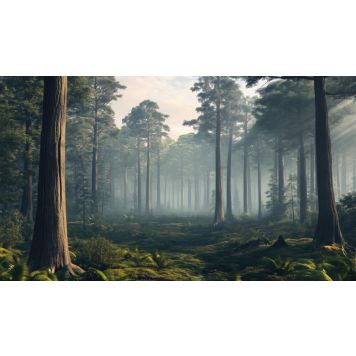 Hljóðvistarmynd landslag skógur 4200x2420x20 mm InEx