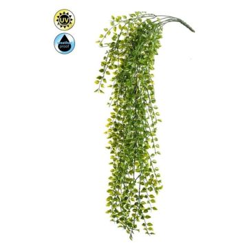 Gerviplanta hengi Emerald 80cm