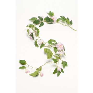 Gerviplanta Clematis Emerald 160cm fjólublá