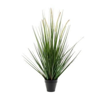 Gerviplanta gras Alopecurus Emerald 120cm