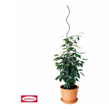 Plöntuspírall 110cm Ø5mm grænn Bellissa