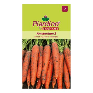 Grænmetisfræ gulrætur Amsterdam Piardino