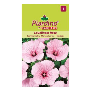 Blómafræ Loveliness Rose Piardino