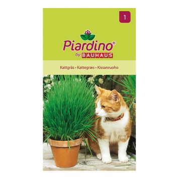 Grasfræ kattagras Piardino