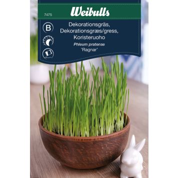 Grasfræ Dekoration Weibulls