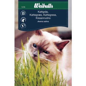 Grasfræ kattagras Weibulls