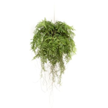 Gerviplanta hengi Burkni Emerald 55cm