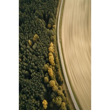 Hljóðvistarmynd landslag skógur 800x1220x20 mm InEx