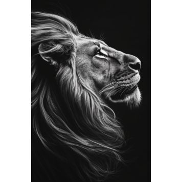 Hljóðvistarmynd ljón svarthvítt 800x1220x20 mm InEx