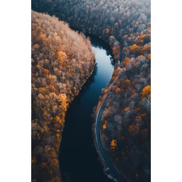 Hljóðvistarmynd landslag á og skógur 800x1220x20 mm InEx