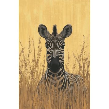 Hljóðvistarmynd sebrahestur 800x1220x20 mm InEx