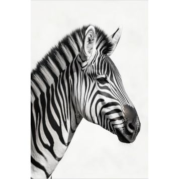 Hljóðvistarmynd sebrahestur svarthvítur 800x1220x20 mm InEx