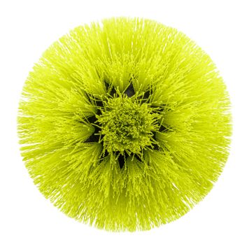 Bursti miðlungs Ryobi RACLRM110