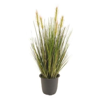 Gerviplanta gras í potti Emerald 45cm