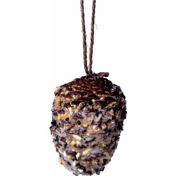 Fuglafóðurkúla köngull Garden Life