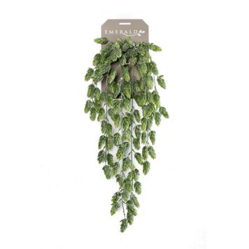 Gerviplanta hangandi Humle Emerald 70cm