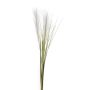 Gerviplanta gras Cortaderia Emerald 95cm
