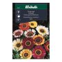 Prestafífill blönduð fræ Weibulls Chrysanthemum carinatum