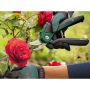Greinaklippur 3,6V Bosch  EasyPrune