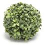 Gerviplanta buxus kúla 15cm Emerald