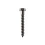Franskar skrúfur Ø12x80 mm 40 stk Profi Depot  galv