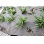 Jarðvegsdúkur fíber 2x3m Plantex Weedmax