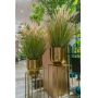 Gerviplanta gras Emerald 99cm