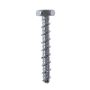 Múrskrúfur TX Ø10,5x60 mm 25 stk Profi Depot RG
