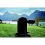 Gasgrill Davos 570 G Pro Outdoorchef 1 brennari