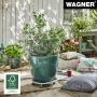 Rúllubretti fyrir blómapott Ø38mm Wagner 70kg