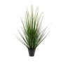 Gerviplanta gras Alopecurus Emerald 90cm