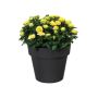 Útiblómapottur Green basic Top Planter Ø39cm svartur