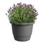 Blómapottur Amiga Round Ø30cm svartur