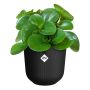 Blómapottur Jazz Round Ø14cm svartur